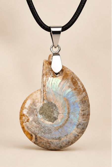 Collier Pendentif Ammonite Irisée – Élégance Naturelle