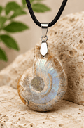 Collier Pendentif Ammonite Irisée – Élégance Naturelle