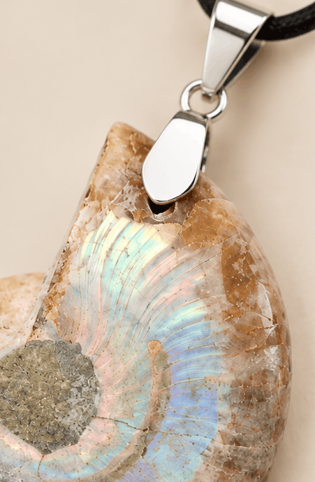 Collier Pendentif Ammonite Irisée – Élégance Naturelle